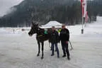 Siegerpferd Meerwind von Maximilian Frick / Sponsoren Andreas und Wolfgang Müller und (verhindert ) Günther Huber mit Präsident Burger